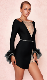 GAROTIS LONG SLEEVE CRYSTAL FEATHER DRESS