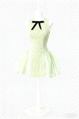 eleanore sleeveless embroidered mini dress in green