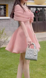 VENUS PINK OFF-SHOULDER MESH PANEL A-LINE MINI DRESS