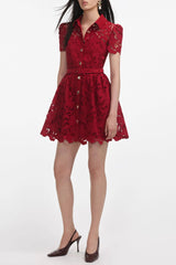 Burgundy Lace Collared Mini Dress
