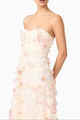 Off-Shoulder Embroidered Maxi Dress in apricot