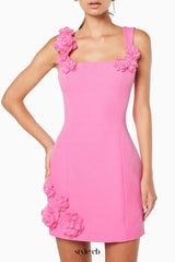 Dilanne Floral Appliqué Mini Dress in Pink