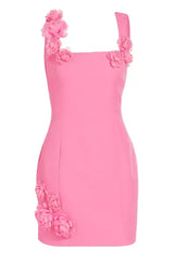 Dilanne Floral Appliqué Mini Dress in Pink
