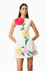 Buttercup Embroidered Mini Dress in Ivory