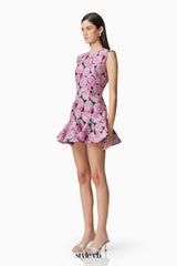 Aimee Butterfly embroidery A-Line Mini Dress in Pink