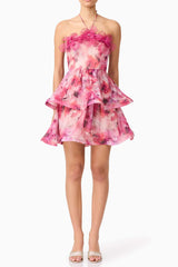 Evalina Floral Mini Dress in Pink