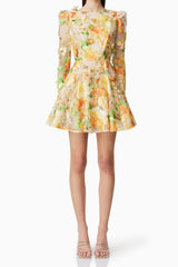 Aella A-Line floral embroidery Mini Dress in Yellow