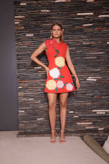 Buttercup Embroidered Mini Dress in Red