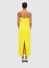suzanne Appliqué Floral Bustier Maxi Dress in yellow