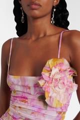 molly Floral Appliqué Print Maxi Dress in pink