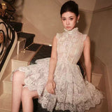 Sleeveless Stand Collar Lace Tutu mini dress in white