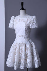 rose sleeve lace hollow mini dress in white