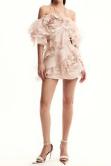 delia ruffle embellished mini dress in beige