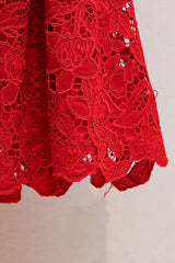 Burgundy Lace Collared Mini Dress