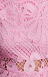 Long Puff Sleeve Lace Mini Dress