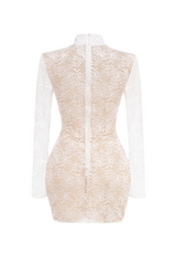 Lace Corset Mini Dress