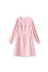 alani Embossed Chiffon Puff Sleeves mini Dress in pink