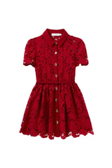 Burgundy Lace Collared Mini Dress