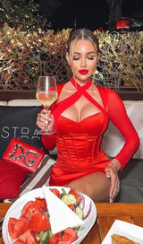 JOCELYNN BURGUNDY SATIN MESH LONG SLEEVE CORSET DRESS Dresses styleofcb