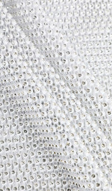 FEATHER MESH MINI DRESS Dresses styleofcb