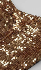 SEQUINED PLUSH SLIM FIT DRESS IN BROWN styleofcb