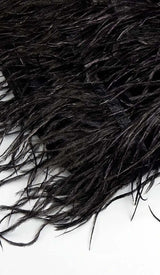 FEATHER VELVET GLOVES MINI DRESS IN BLACK DRESS sis label