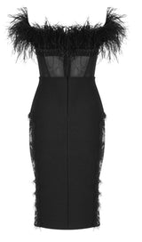 LACE FEATHER DRESS IN BLACK Dresses styleofcb