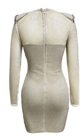 RHINESTONE MESH MINI DRESS IN SLIVER DRESS STYLE OF CB