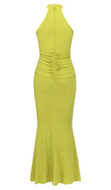 ROSE-EMBELLISHED HALTER MAXI DRESS IN FADED GREEN DRESS STYLE OF CB