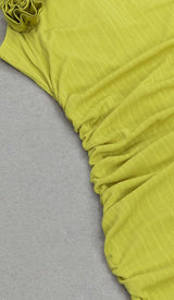 ROSE-EMBELLISHED HALTER MAXI DRESS IN FADED GREEN DRESS STYLE OF CB