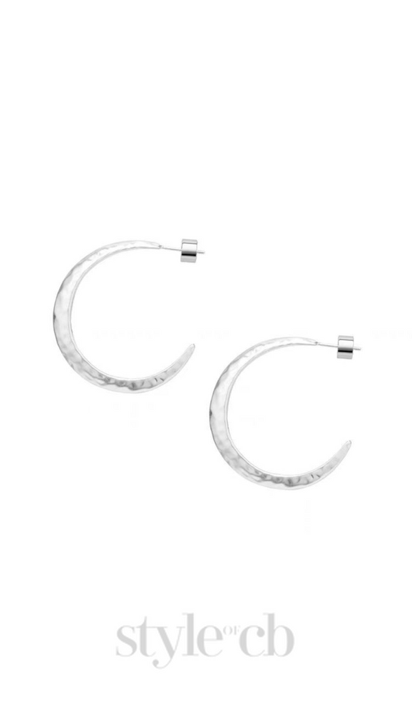 Needle Earrings in silver