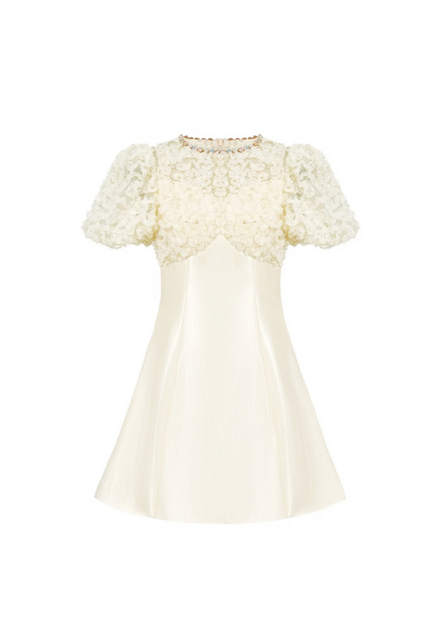 Floral Lace Puff Sleeve A-Line mini Dress in apricot