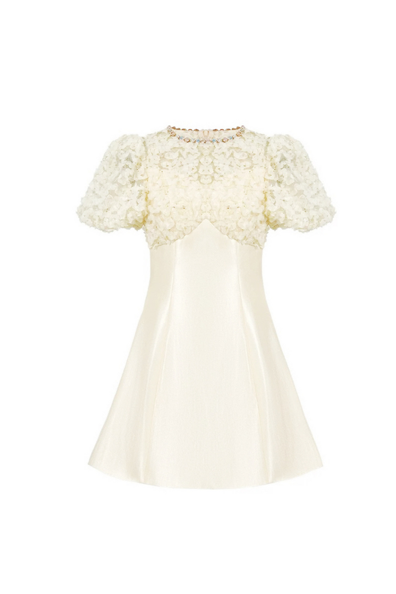 Floral Lace Puff Sleeve A-Line mini Dress in apricot