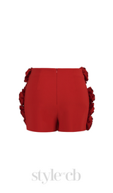 3D FLOWER  EMBELLISHED SKIRT IN RED