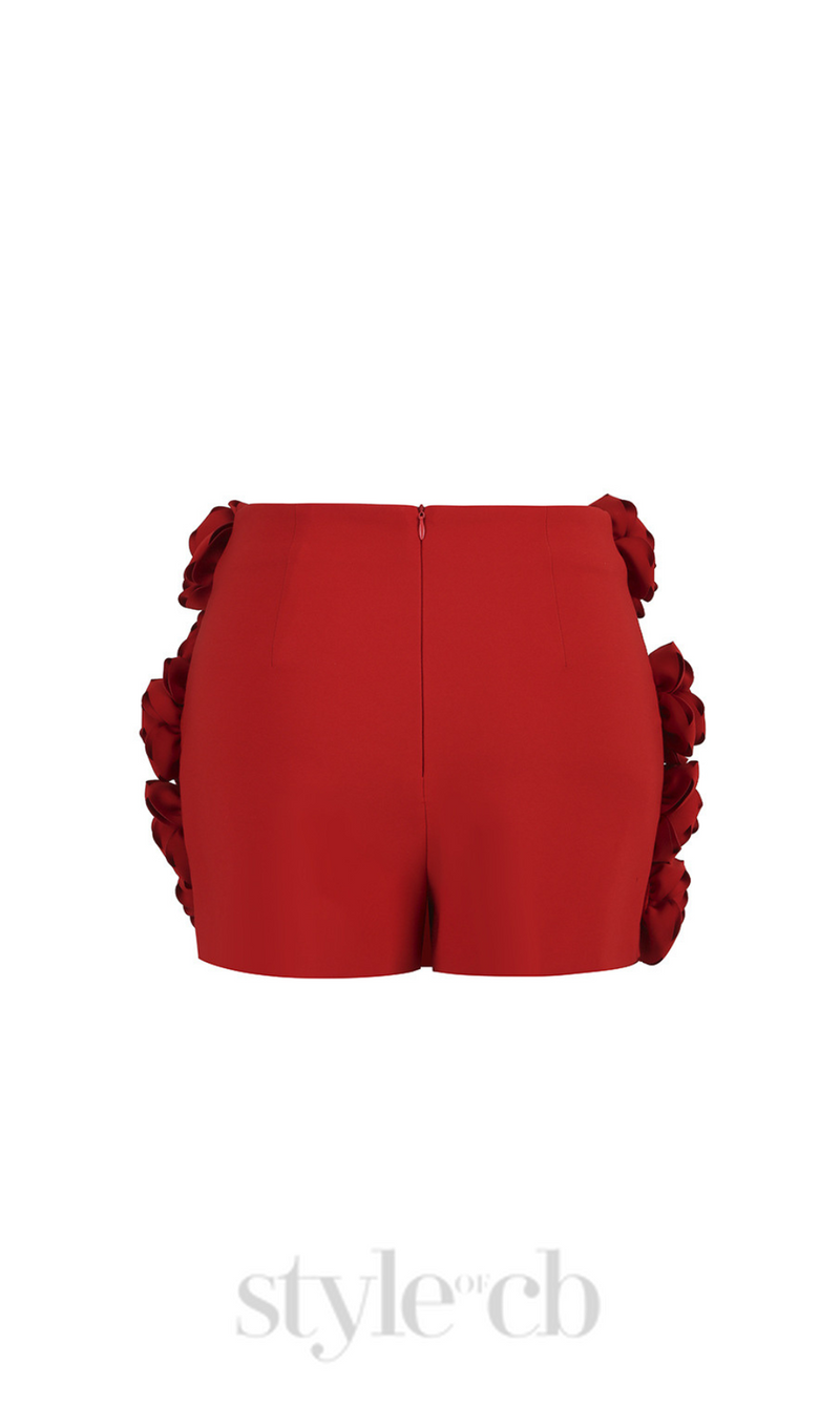 3D FLOWER  EMBELLISHED SKIRT IN RED