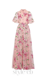 TIE-BACK EMBROIDERED SILK-ORGANZA GOWN