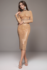 EMBELLISHED SPLIT MESH SKIRT SET IN NUDE