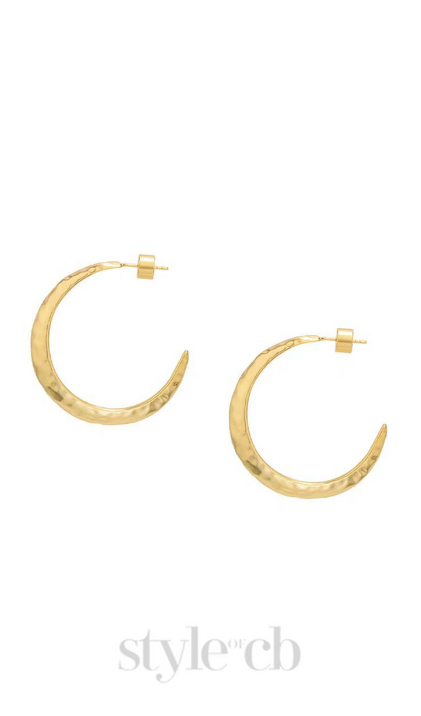Needle Earrings in gold