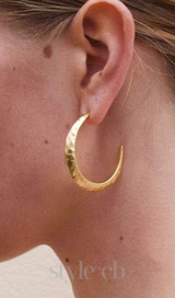 Needle Earrings in gold