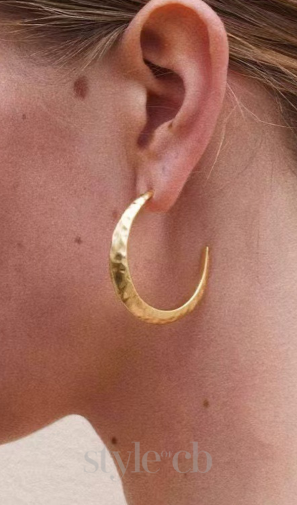 Needle Earrings in gold