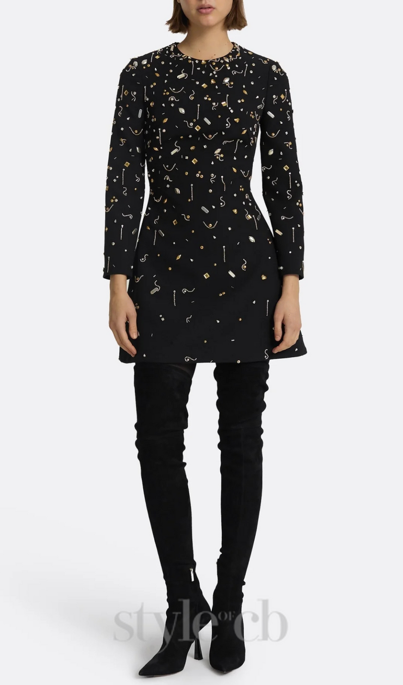 Pamaria Diamante Embroidery Mini Dress