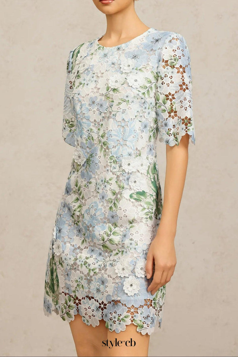 hazel Floral Printed Lace Mini Dress in sky blue