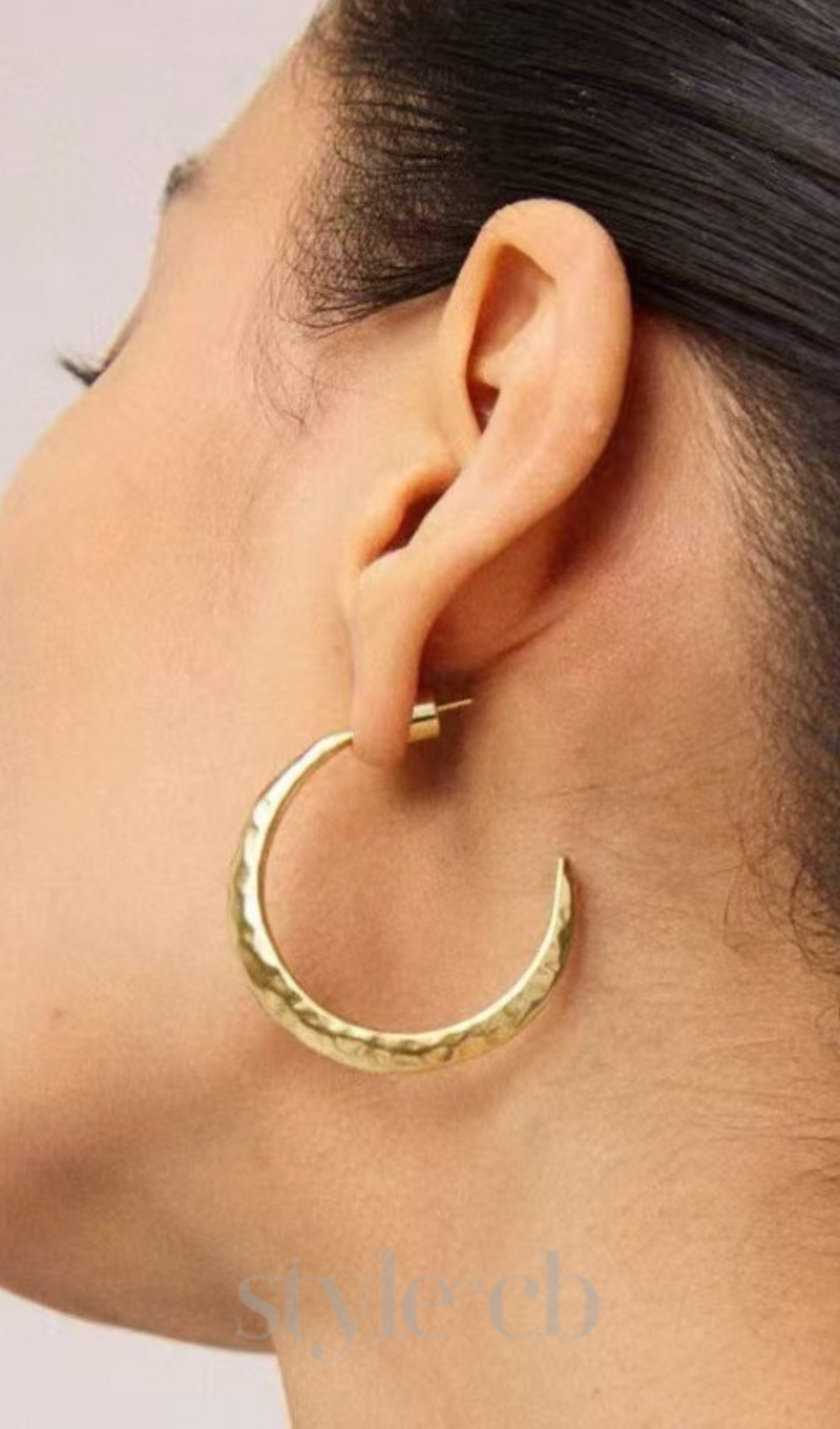 Needle Earrings in gold