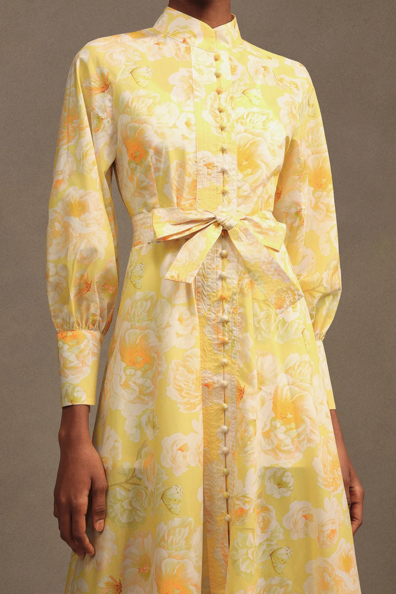xaviera Long Sleeve Floral Printed Chiffon Maxi Dress in yellow