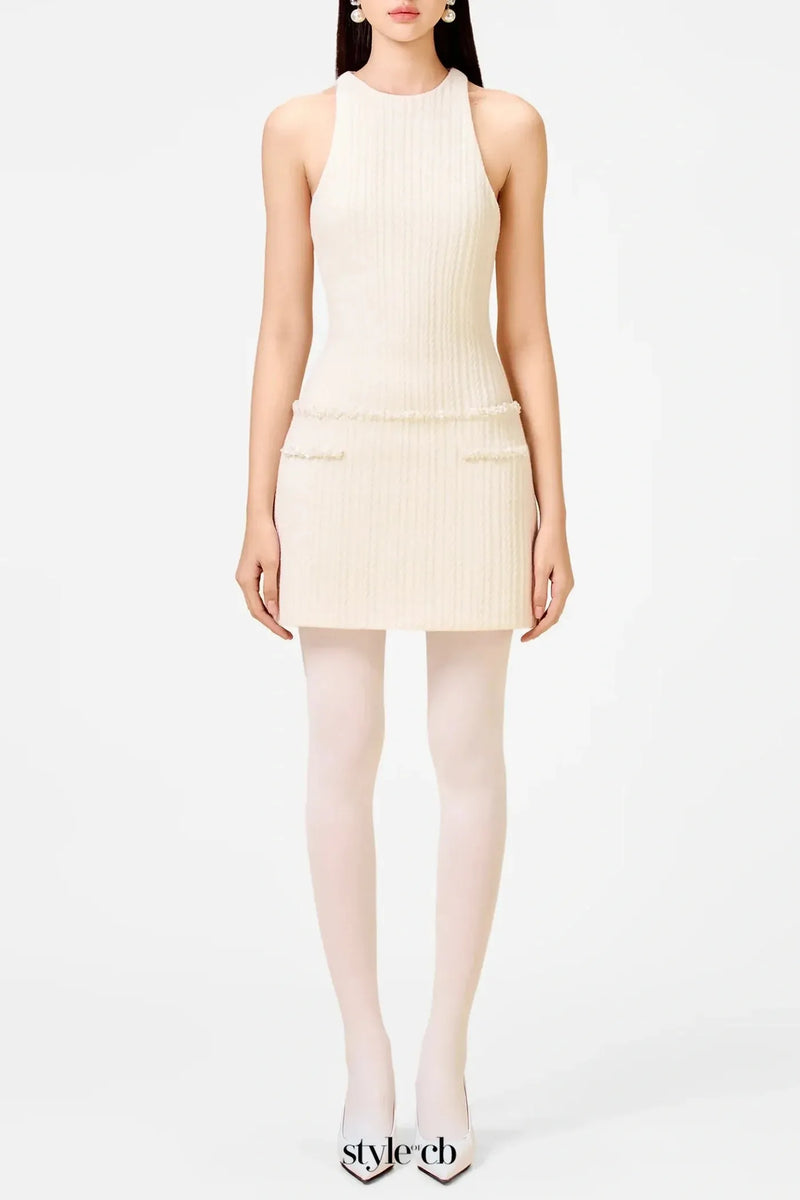 Abene Sleeveless Beaded Embellished Knit Mini Dress