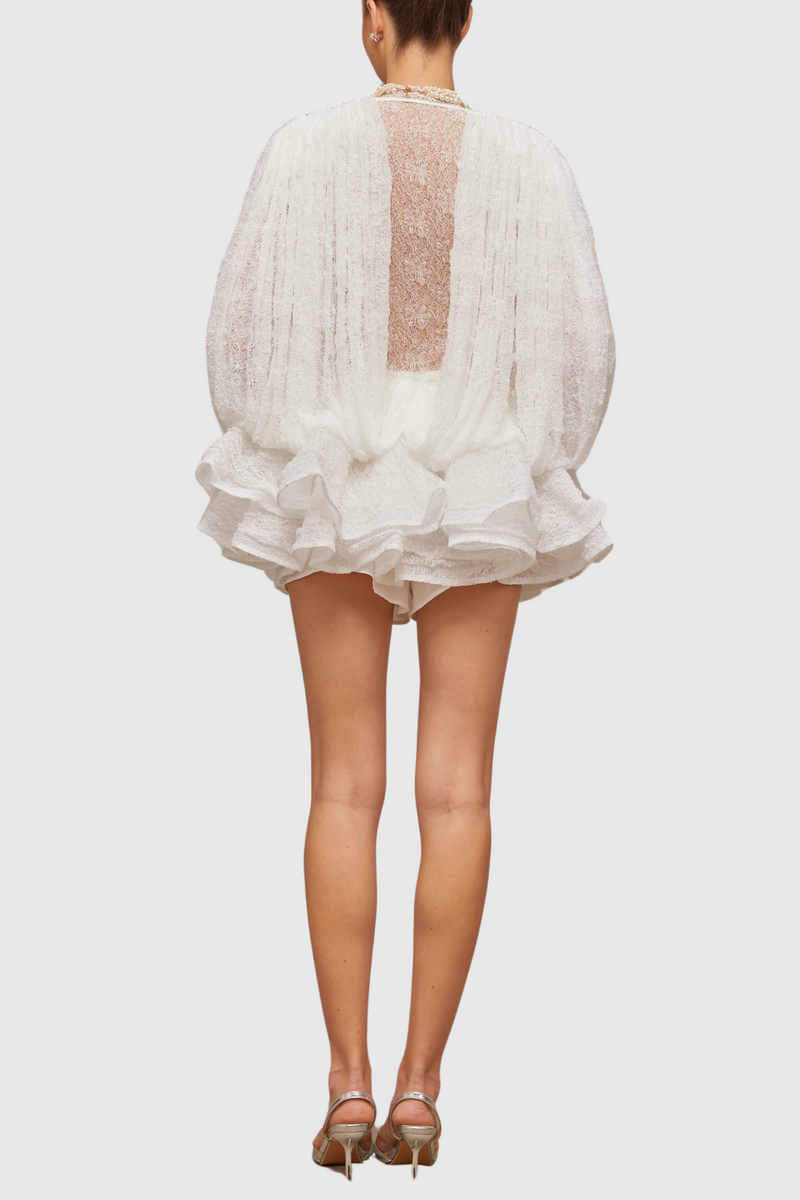 Chaylee Semi-sheer Lace Ruffle Mini Dress