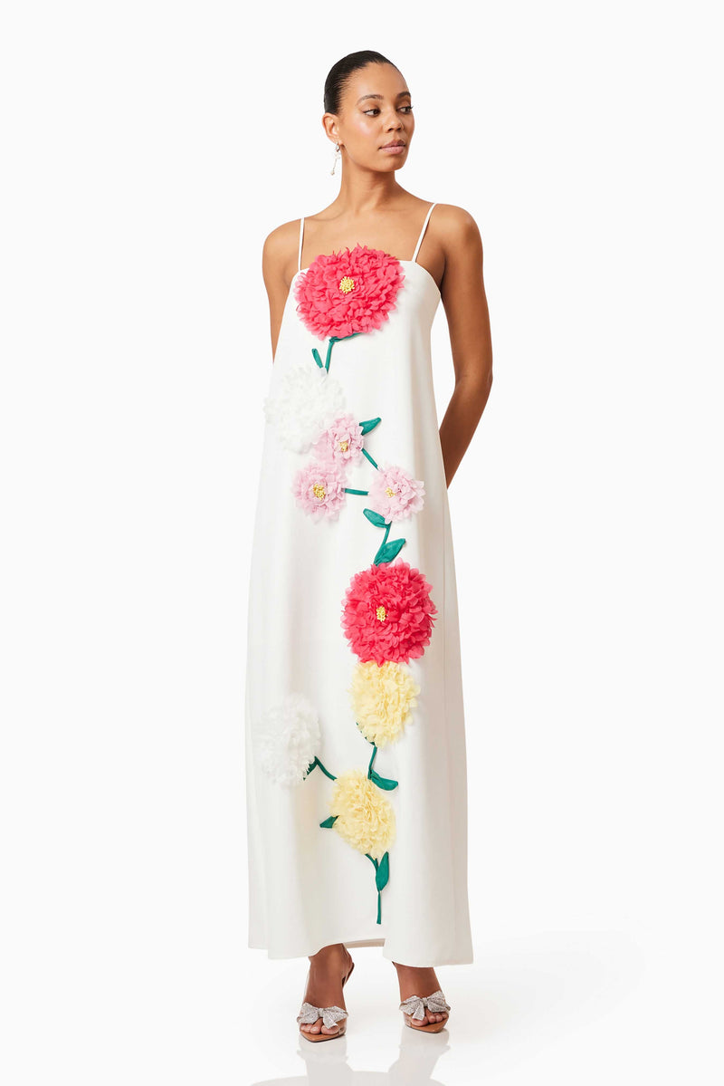 judy Buttercup Embroidered Maxi Dress in White