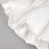 Butterfly Embroidered Bodice Puffball mini Dress in black