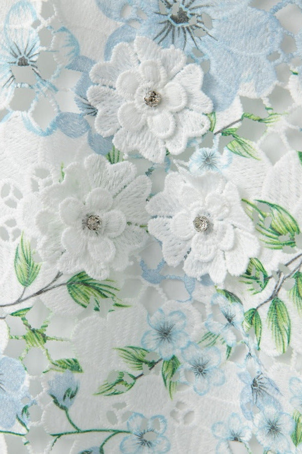 hazel Floral Printed Lace Mini Dress in sky blue