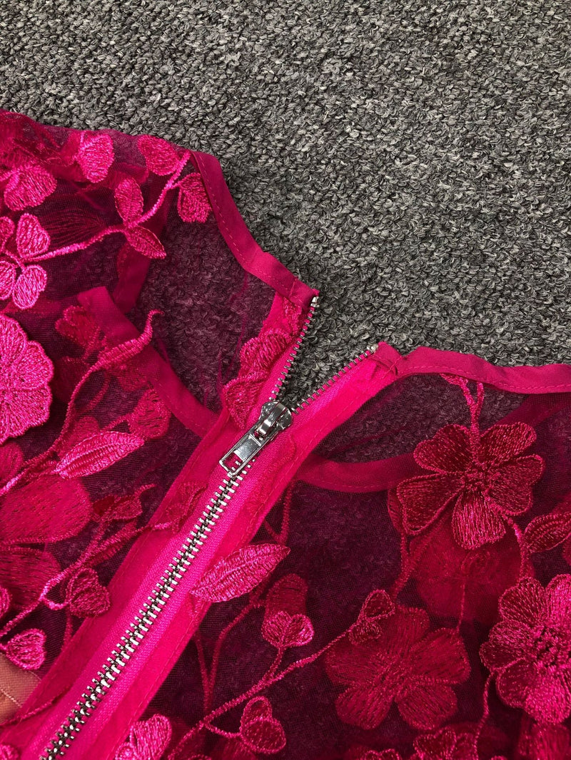 Rose red floral lace Long Sleeve Mini Dress